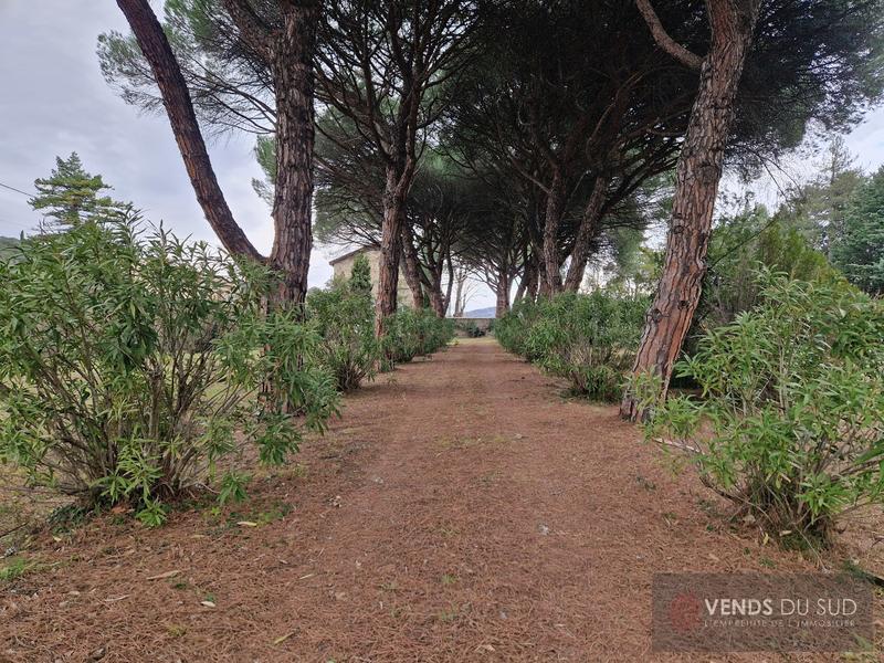 Maison bourgeoise - 290 m² - 12 pièces