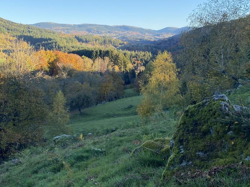 Maison ancienne - 300 m² - 7 pièces