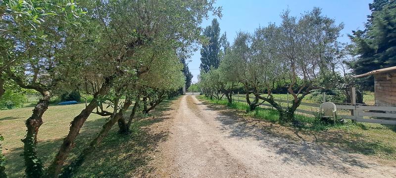 Propriété - 286 m² - 9 pièces