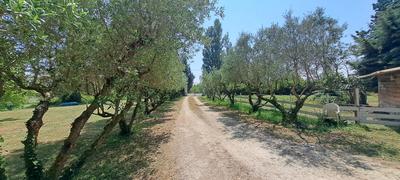 Propriété - 286 m² - 9 pièces