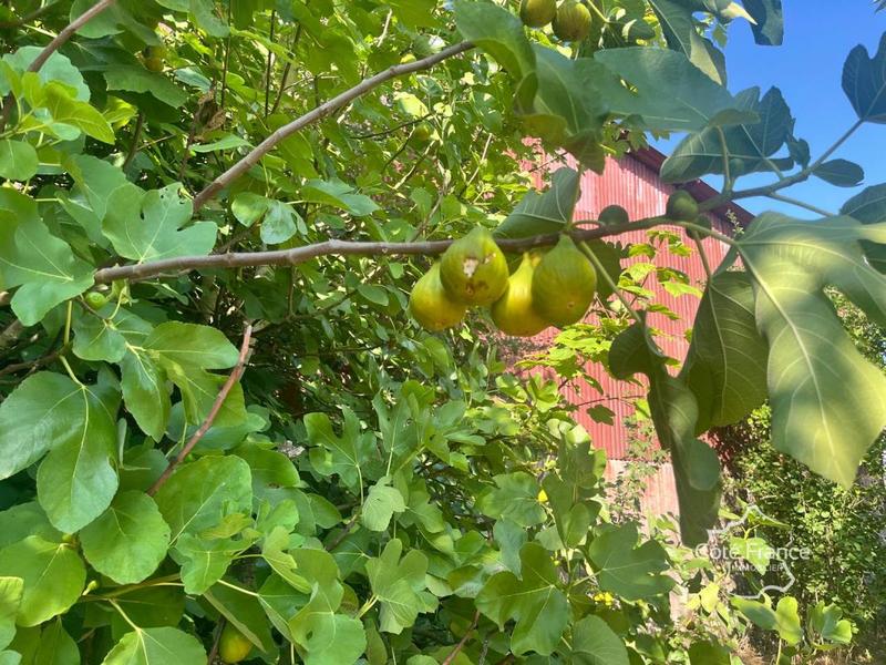 Maison de village - 80 m² - 3 pièces