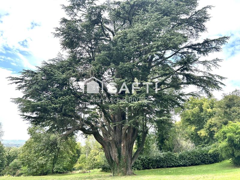 Maison de maîtres - 900 m² - 15 pièces