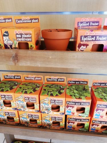 Ma cabane dans les étoiles