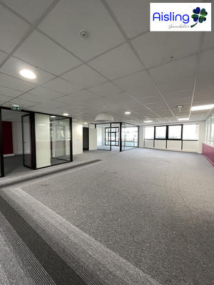 Bureau - 285 m²