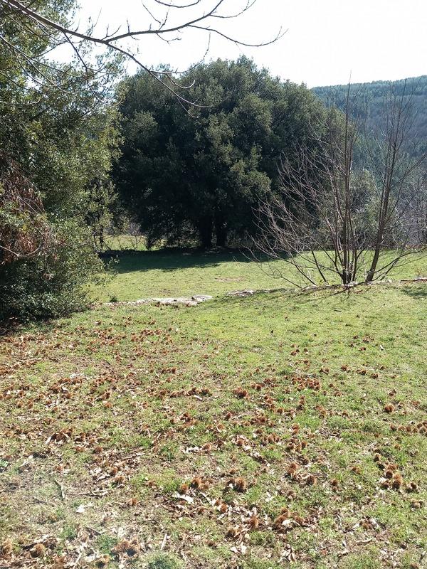 Maison de village - 60 m² - 2 pièces