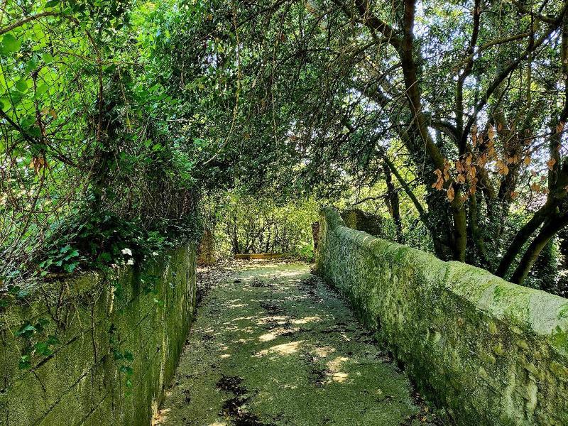 Terrain constructible - 1 490 m²