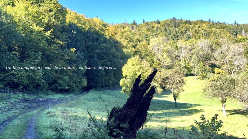 Duplex - 200 m² - 5 pièces