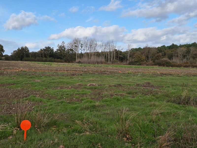 Terrain de lotissements - 301 m²