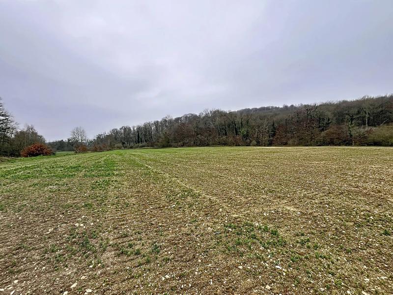 Terrain - 16 645 m²