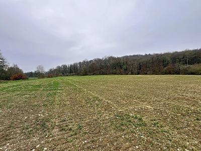 Terrain - 16 645 m²