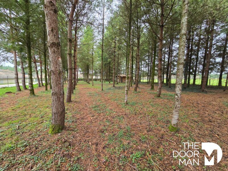 Terrain de loisirs - 2 670 m²