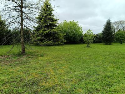 Terrain - 1 800 m²