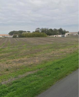 Terrain constructible - 441 m²