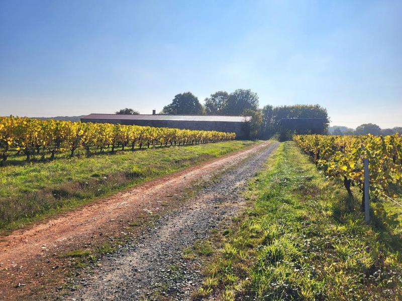 Corps de ferme - 188 m² - 5 pièces