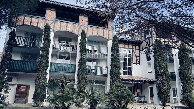 Studio - 20 m² - 1 pièce