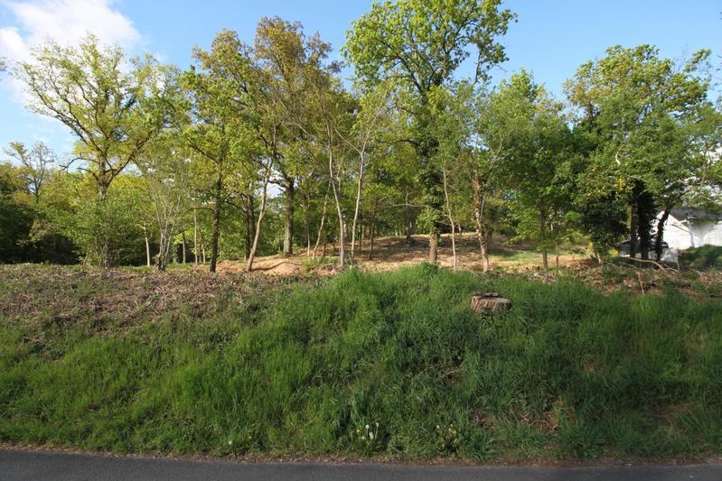 Terrain constructible - 1 146 m²