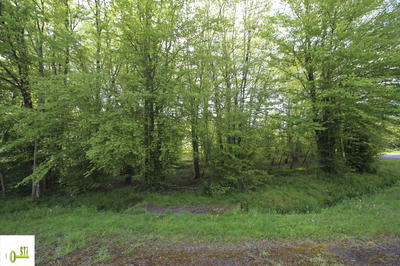 Terrain - 2 312 m²