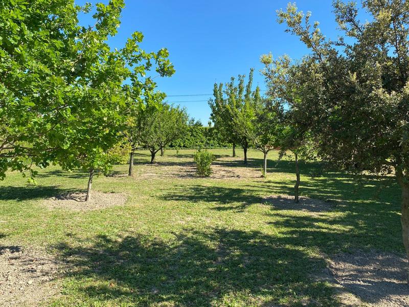 Maison - 165 m² - 7 pièces