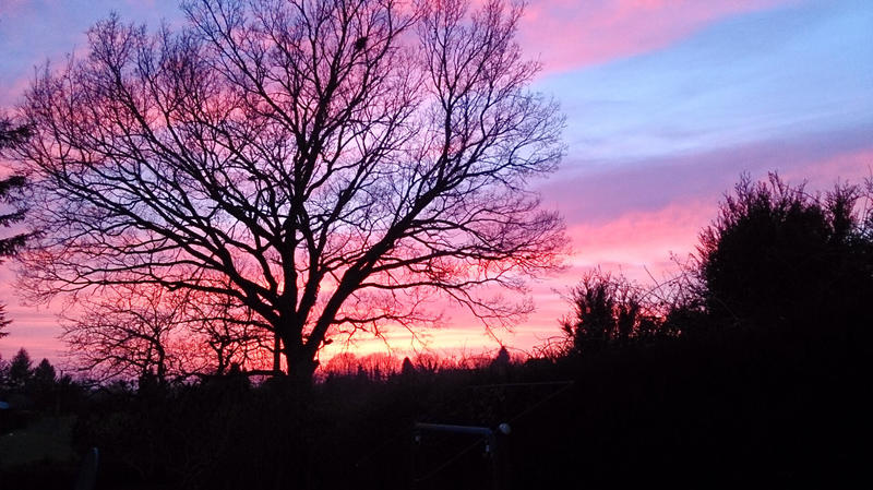 Maison - 233 m² - 5 pièces