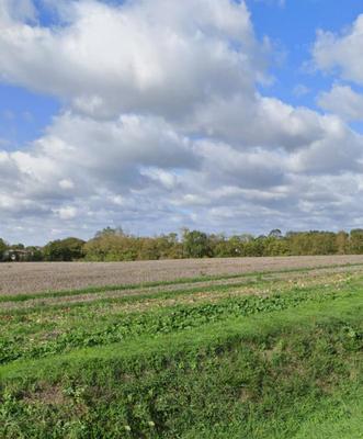 Terrain constructible - 403 m²