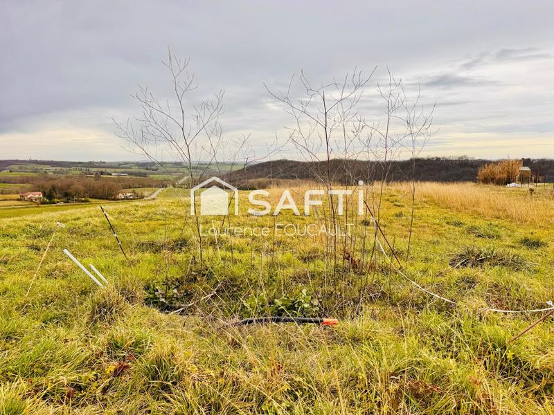 Terrain - 2 289 m²