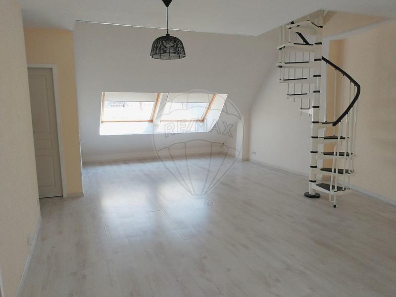 Appartement - 55 m² - 2 pièces