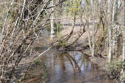 Terrain de loisirs - 22 000 m²