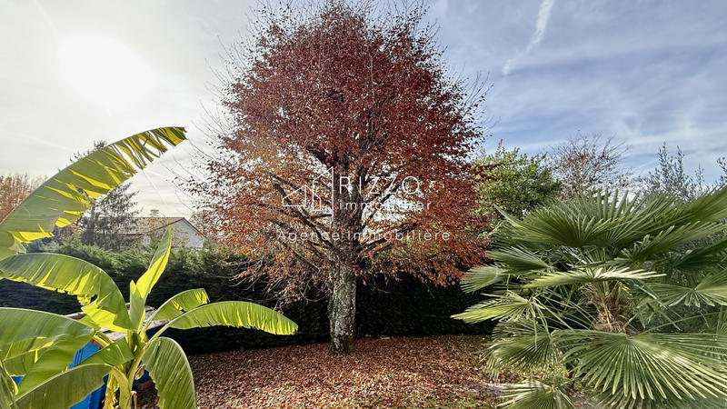 Maison - 178 m² - 8 pièces