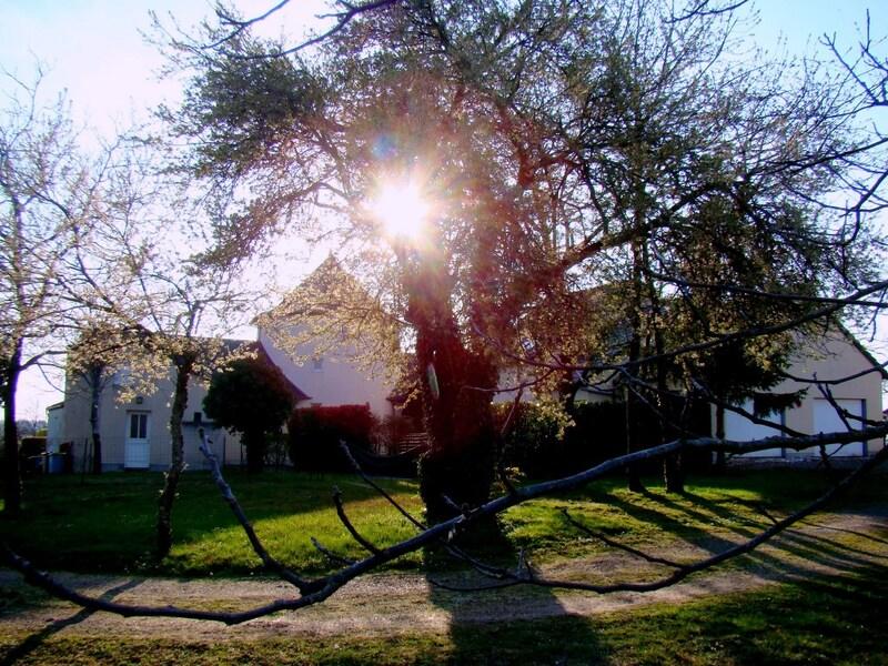 Propriété - 406 m² - 18 pièces