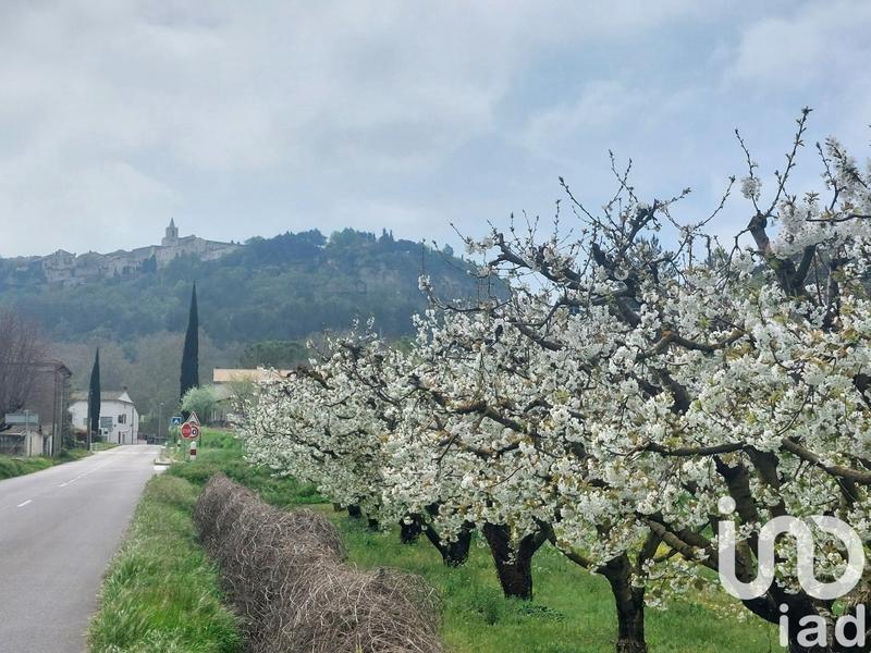 Maison de maîtres - 206 m² - 7 pièces