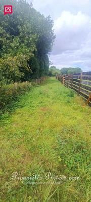 Terrain constructible - 1 463 m²