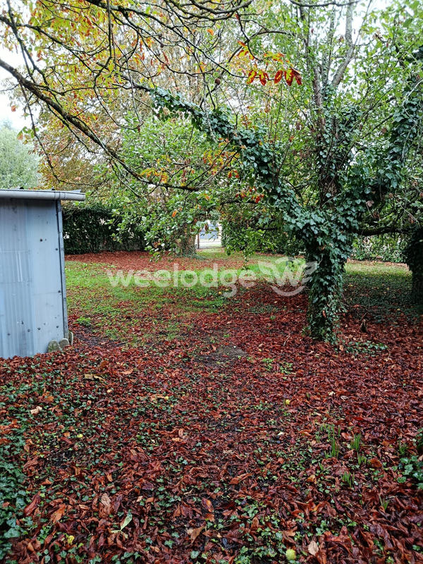 Maison ancienne - 258 m² - 6 pièces