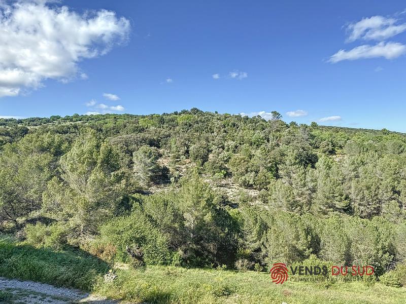 Viager - Maison de campagne - 107 m² - 3 pièces