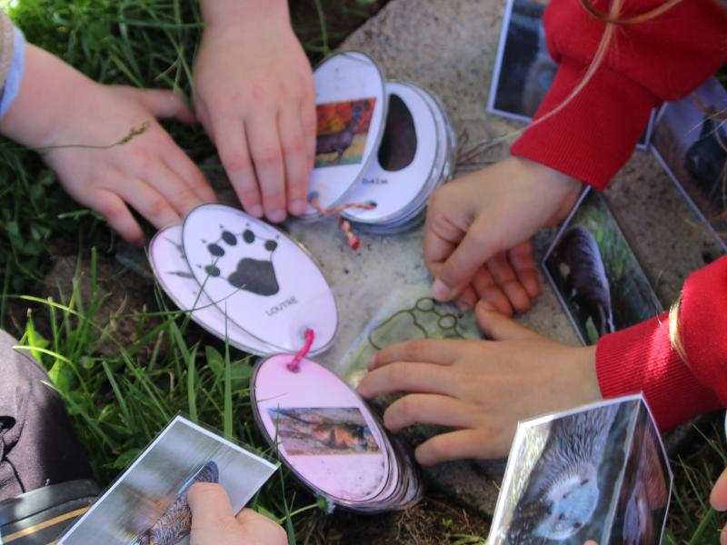 Création d'un empreintoscope à Terres d'Oiseaux
