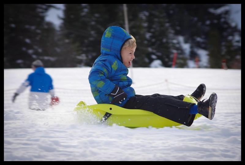 Appartement - 24 m² - 1 pièce