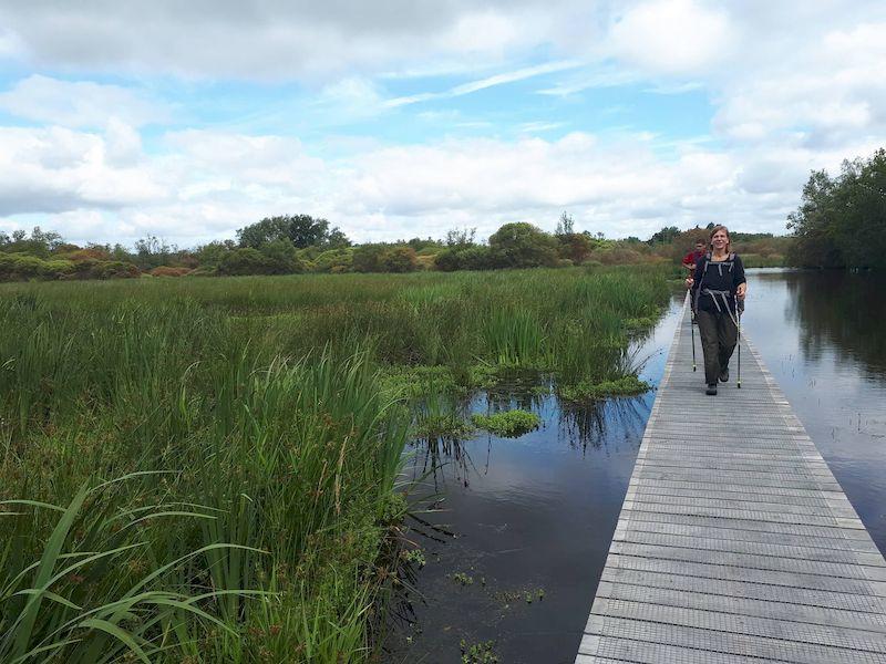 Balae nature - a vos bottes, prêts, marais !