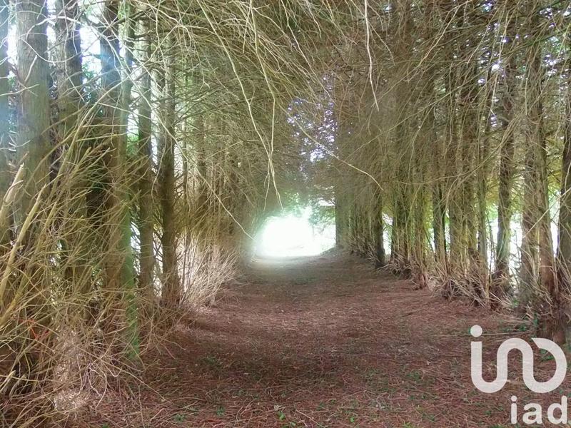 Maison de campagne - 135 m² - 3 pièces