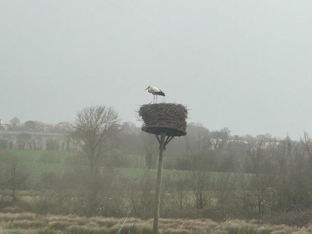 Maison - 184 m² - 8 pièces