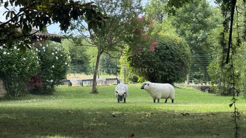 Maison - 300 m² - 8 pièces