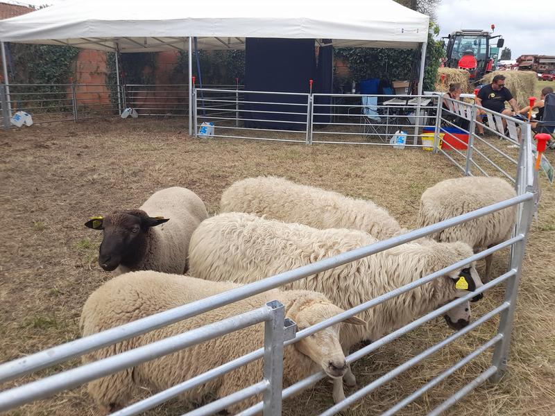 Grande Foire Agricole