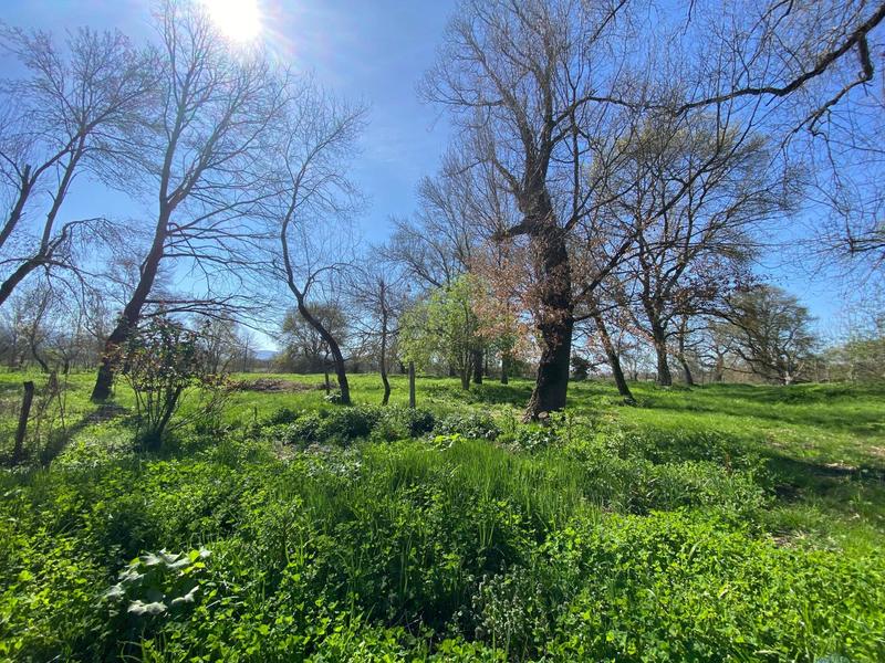 Maison - 122 m² - 5 pièces