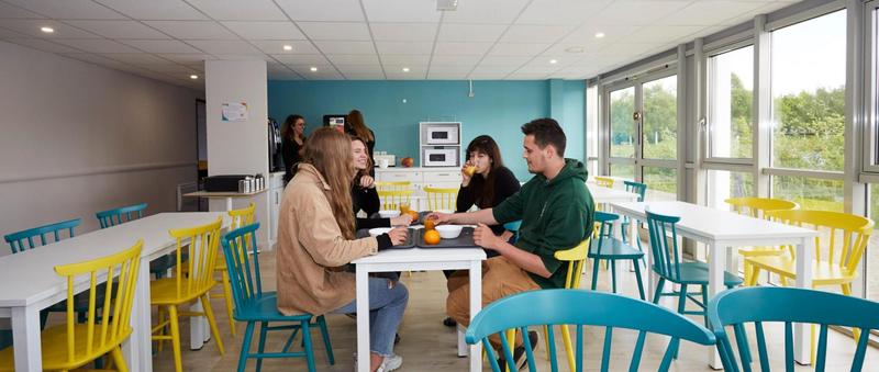 Studio - 14 m² - 1 pièce