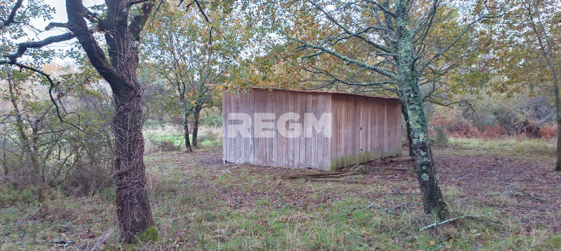 Terrain - 123 886 m²