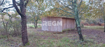 Terrain - 123 886 m²