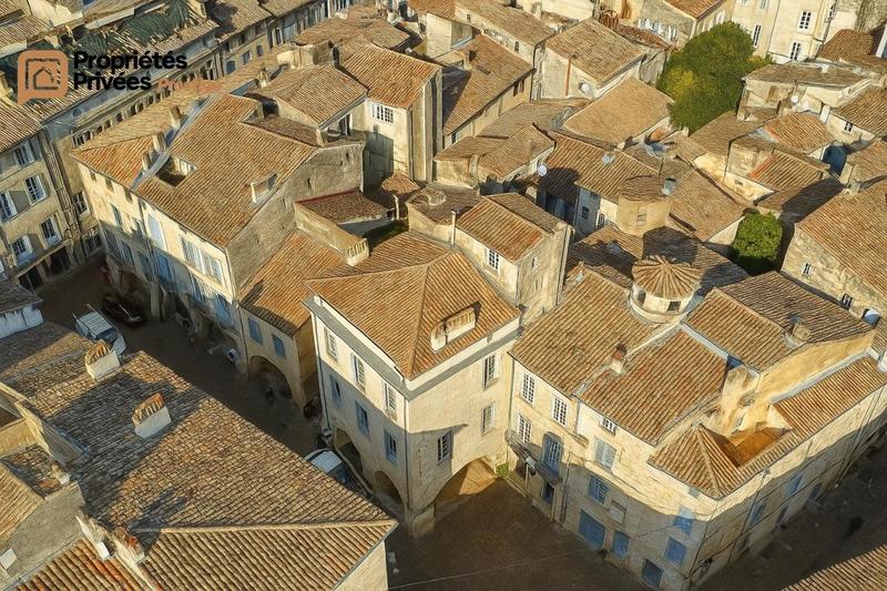 Hôtel particulier - 320 m² - 10 pièces