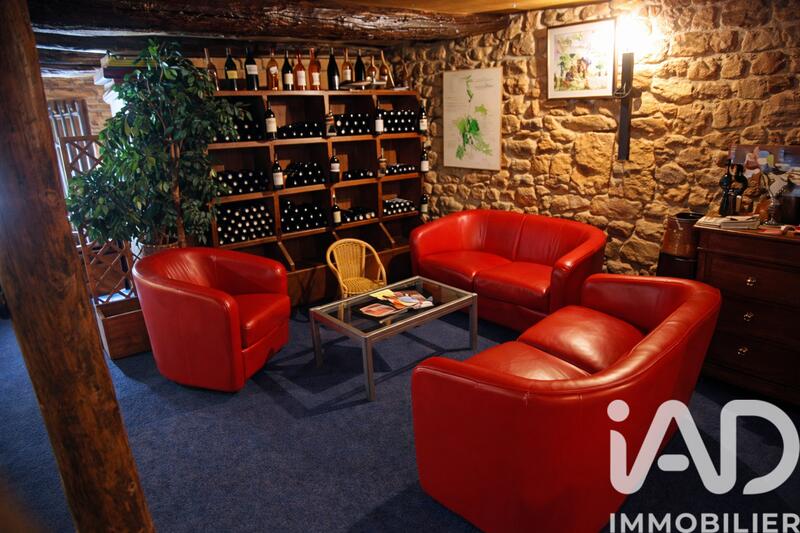 Maison - 480 m² - 15 pièces