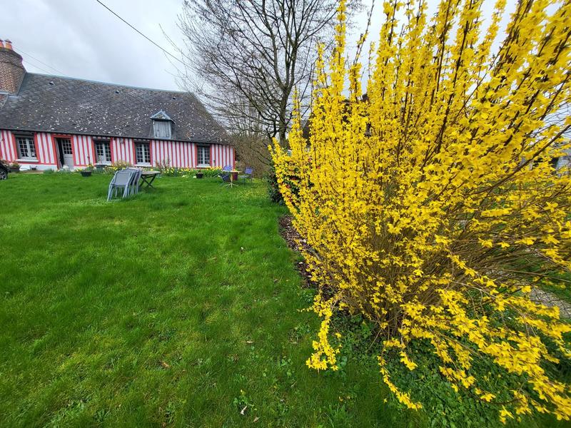 Maison ancienne - 53 m² - 3 pièces