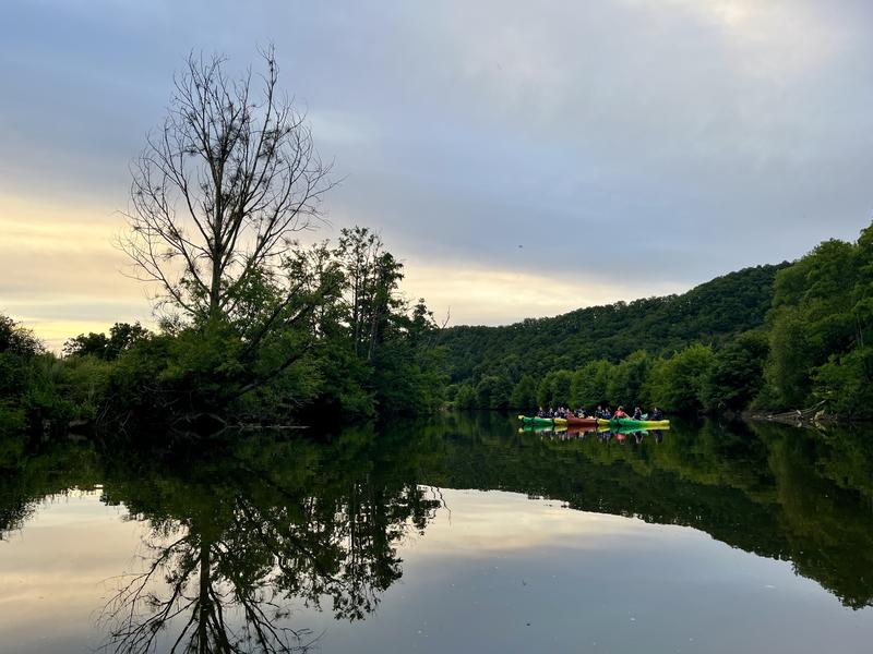 Balade nocturne en canoë-kayak avec un guide nature