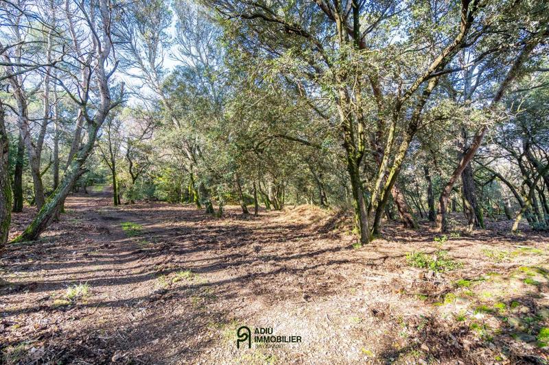 Terrain constructible - 1 299 m²