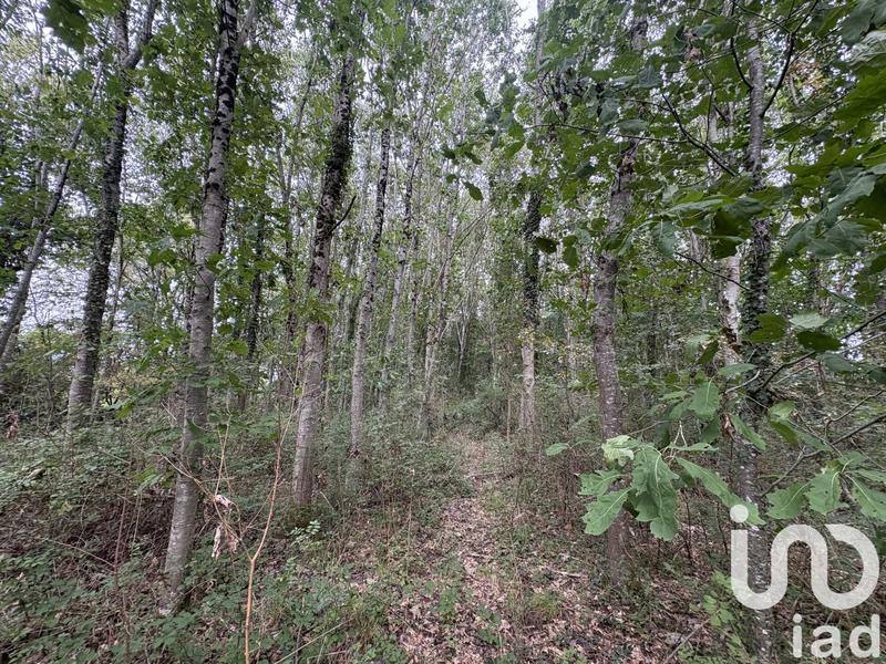 Terrain - 44 521 m²